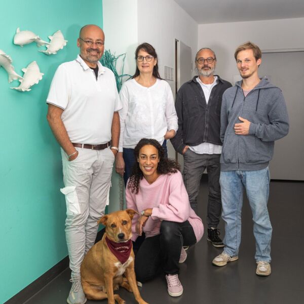 Therapeutenteam Schwerpunktpraxis für Suchtmedizin Stuttgart